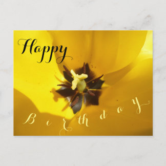 Yellow Tulip Close Up Happy Birthday Postcard