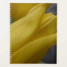 Yellow Tulip Floral Planner – Flower Photography
