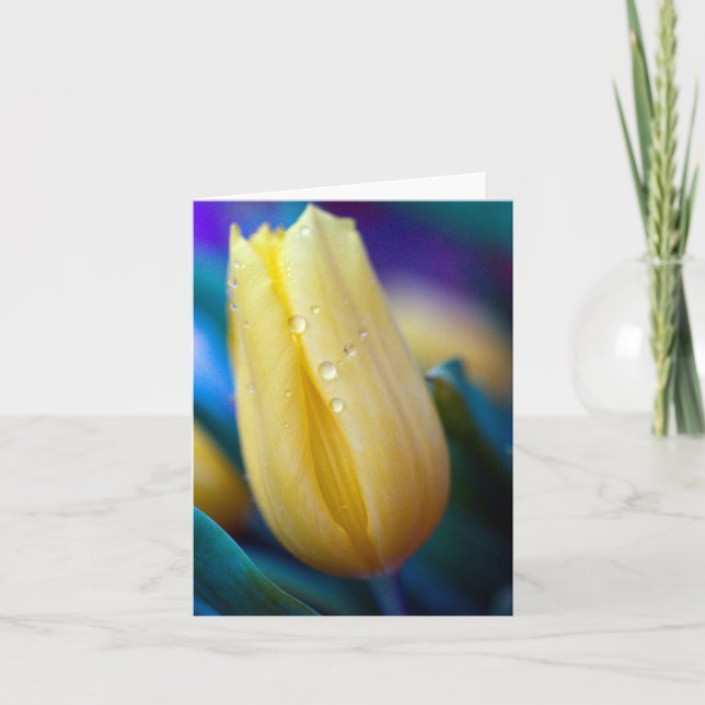 Yellow tulip flower Greeting card (Front)
