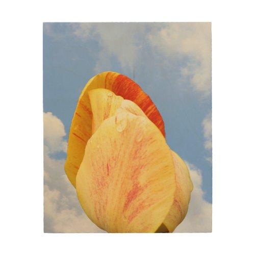 Yellow Tulip Flower On Blue Sky    Wood Wall Art