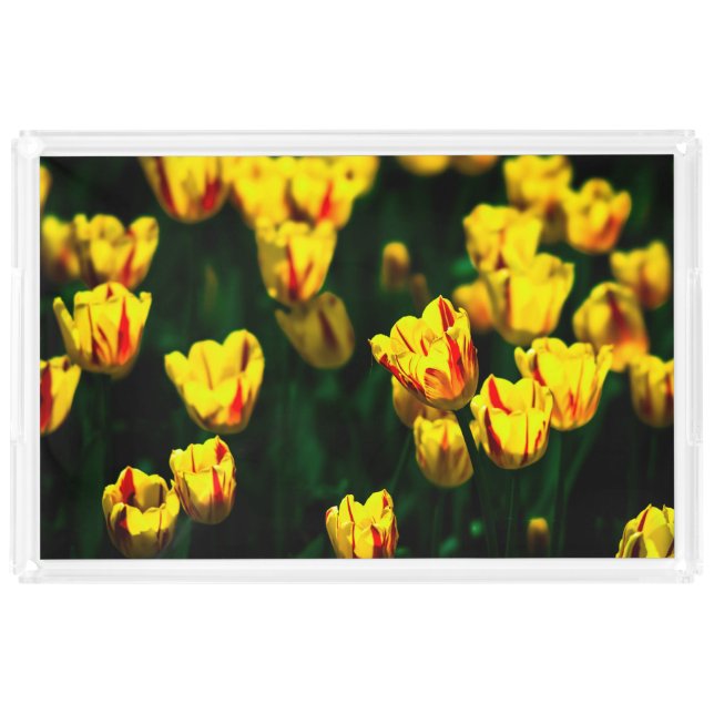 Yellow tulip flowers acrylic tray (Front)