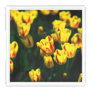 Yellow tulip flowers acrylic tray