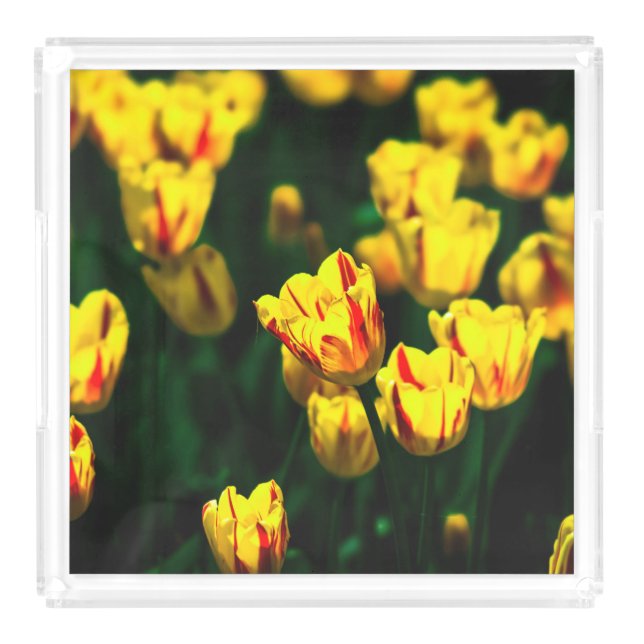 Yellow tulip flowers acrylic tray (Large)