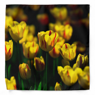 Yellow tulip flowers bandana