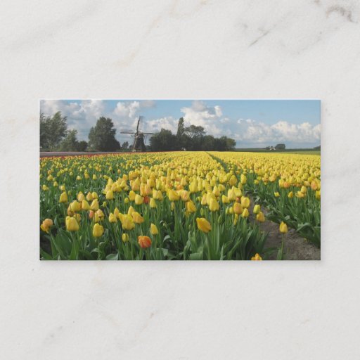 Customizable Yellow Tulip Flowers Field Windmill Landscape Business Card Templates