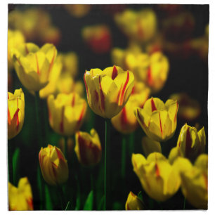 Yellow tulip flowers napkin