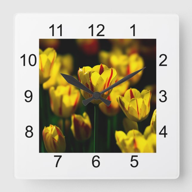 Yellow tulip flowers square wall clock (Front)