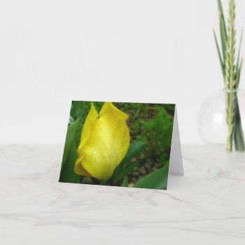 Yellow Tulip In  Spring Rain Note Card by ForEverProud at Zazzle