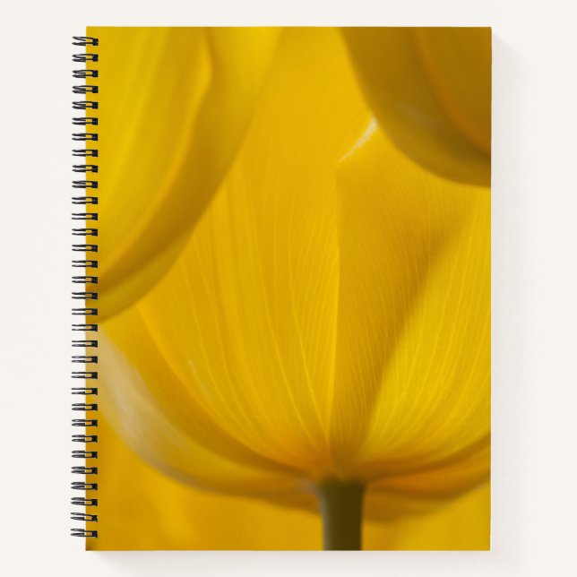 Yellow Tulip Notebook (Front)