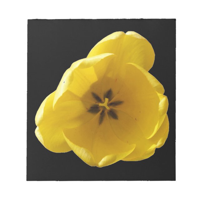 Yellow Tulip Notepad (Front)
