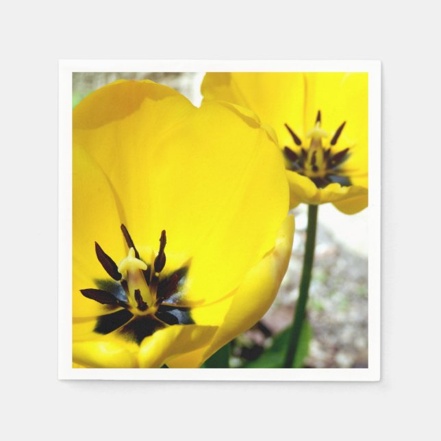 Yellow Tulip Paper Napkins (Front)
