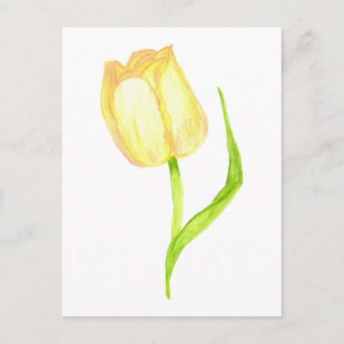 Yellow Tulip Postcard
