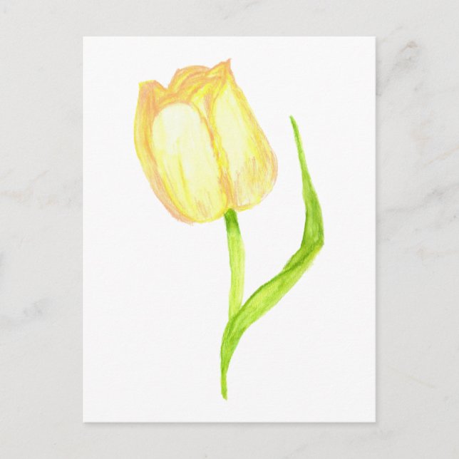 Yellow Tulip Postcard (Front)