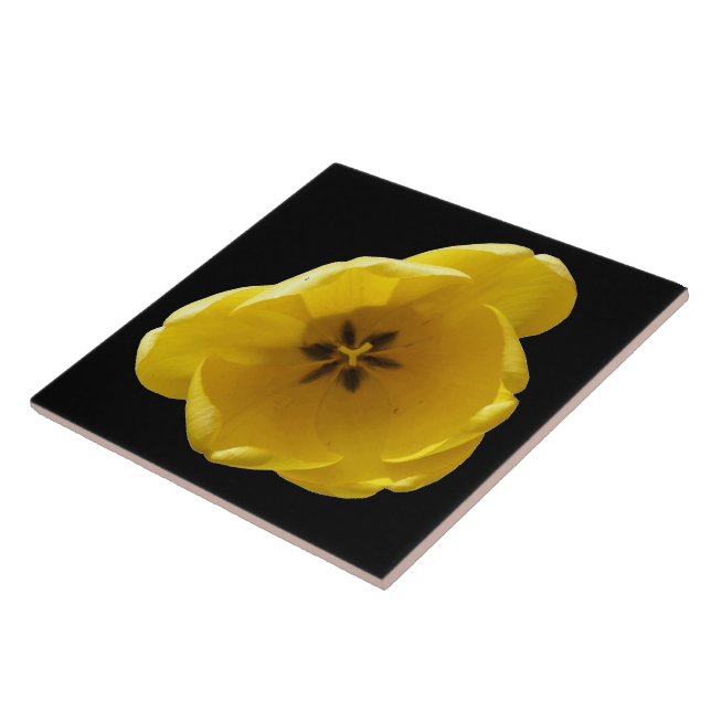 Yellow Tulip Tile (Side)