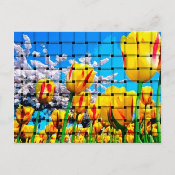 Yellow Tulip Weave Postcard by CaptainScratch at Zazzle
