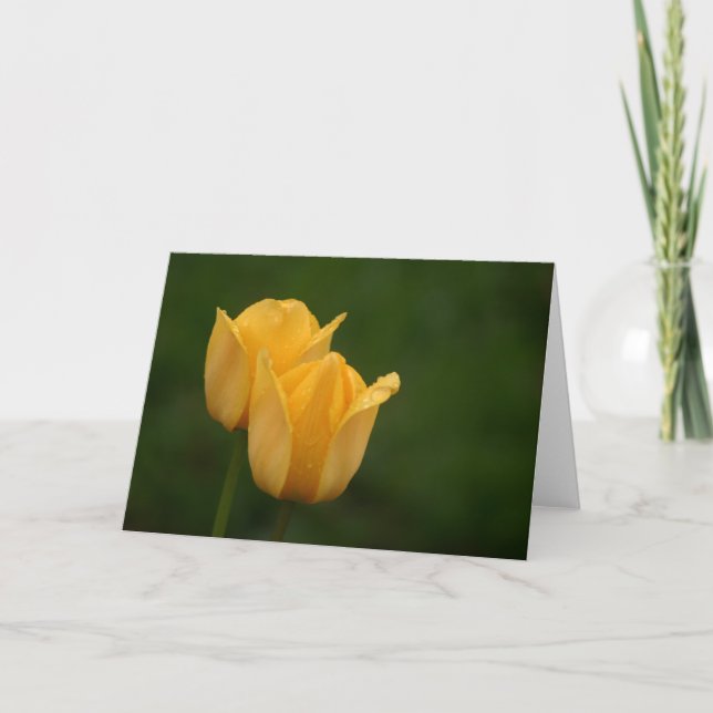 Yellow Tulips Card (Front)
