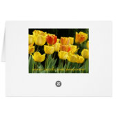 yellow tulips cards (Back Horizontal)