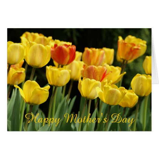 yellow tulips cards (Front Horizontal)