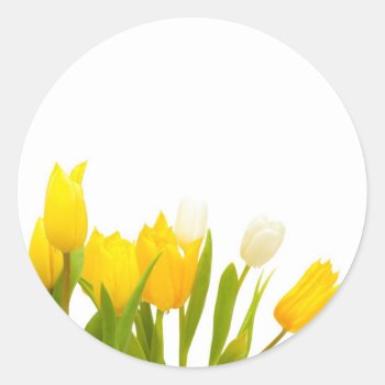 Yellow Tulips Classic Round Sticker by JAM_Design at Zazzle