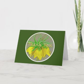YELLOW  TULIPS (  CROWN IMPERIAL/UNIQUE TULIP)