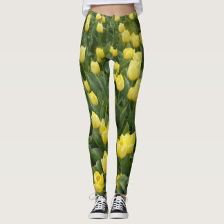 Yellow Tulips Field Legging