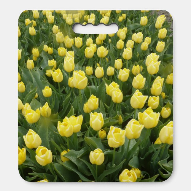 Yellow Tulips Field Seat Cushion (Front Vertical)