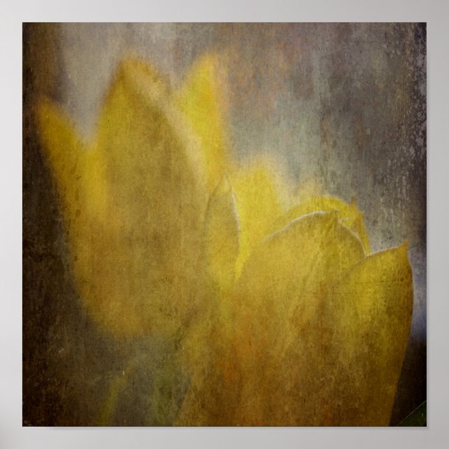 Yellow Tulips Flowers Rustic Floral Art Poster (Front)