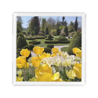 Yellow Tulips from Arboretum Volcji Potok Slovenia