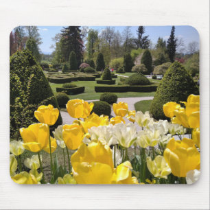 Yellow Tulips from Arboretum Volcji Potok Slovenia Mouse Pad