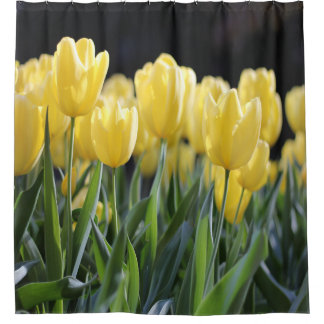 Yellow Tulips in Bloom Shower Curtain