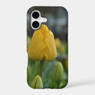 Yellow Tulips in the field iPhone 17 Case