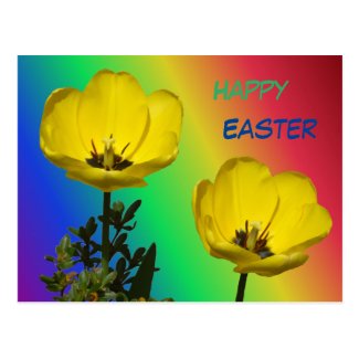 Yellow Tulips Rainbow Happy Easter Postcard