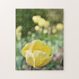 Yellow Tulips Regent's Park Flowers London England Jigsaw Puzzle