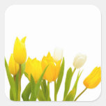 Yellow Tulips Square Sticker at Zazzle