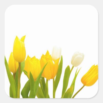 Yellow Tulips Square Sticker by JAM_Design at Zazzle