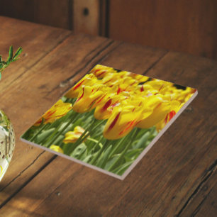 Yellow Tulips with Red Stripes Floral Ceramic Tile