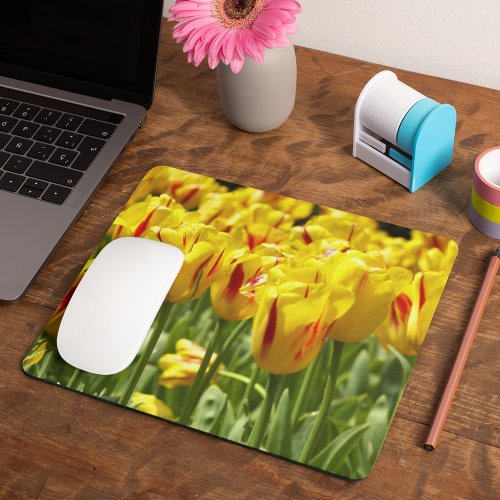 Yellow Tulips with Red Stripes Floral Mouse Pad