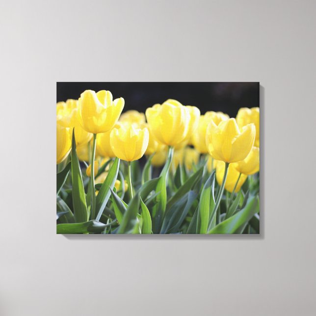 Yellow Tulips Wrapped Canvas Art Print (Front)