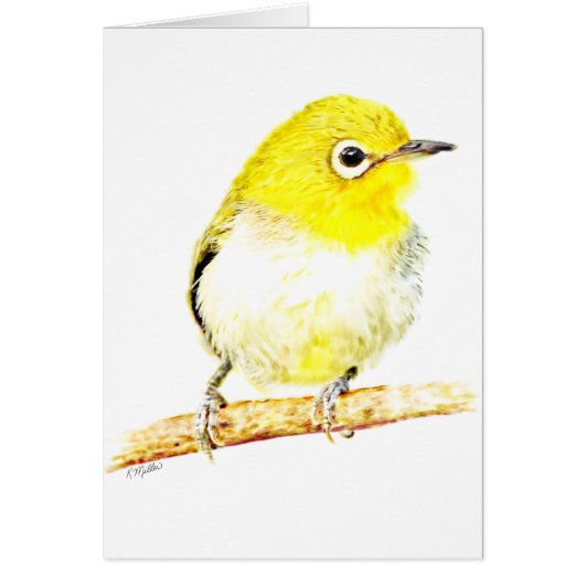 Yellow Viero Cards (Front)