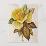 Yellow Vintage Rose Postcard at Zazzle