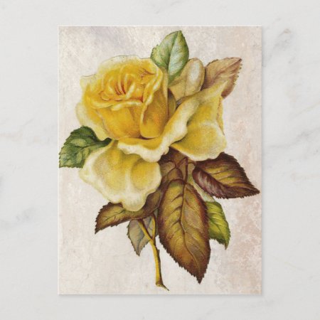 Yellow Vintage Rose Postcard