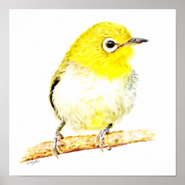 Yellow Viro Poster (Front)