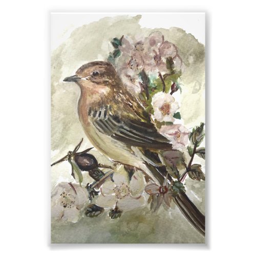 Yellow Wagtail Garden bird watercolour print