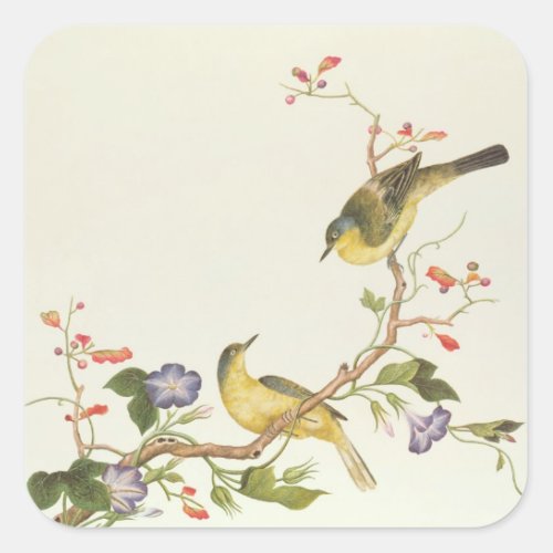 Yellow Wagtail with blue head Square Sticker