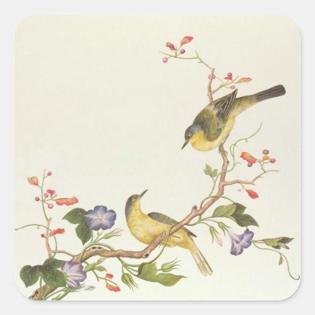 Yellow Wagtail with blue head Square Sticker (Front)
