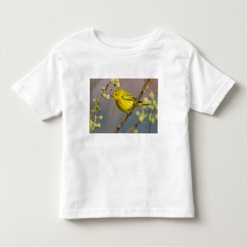 Yellow Warbler Dendroica petechia adult Toddler T_shirt