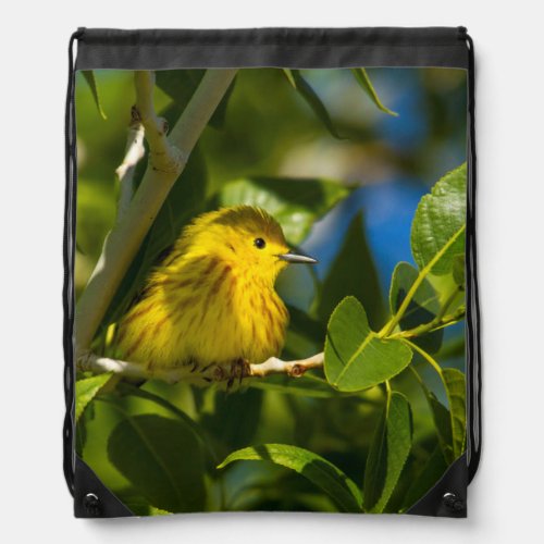 Yellow Warbler In Tree Near Augusta Montana Drawstring Bag