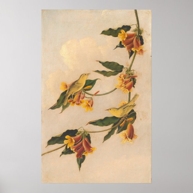 Yellow Warbler - Joseph B. Kidd Fine Art Poster (Front)