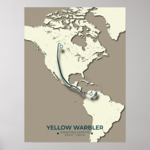 Yellow Warbler Migration Map – Minimalist Vintage Poster