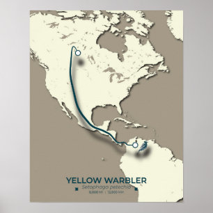 Yellow Warbler Migration Map – Minimalist Vintage Poster